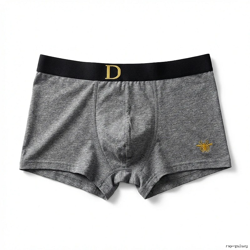 Dior minimalist style grey underwear