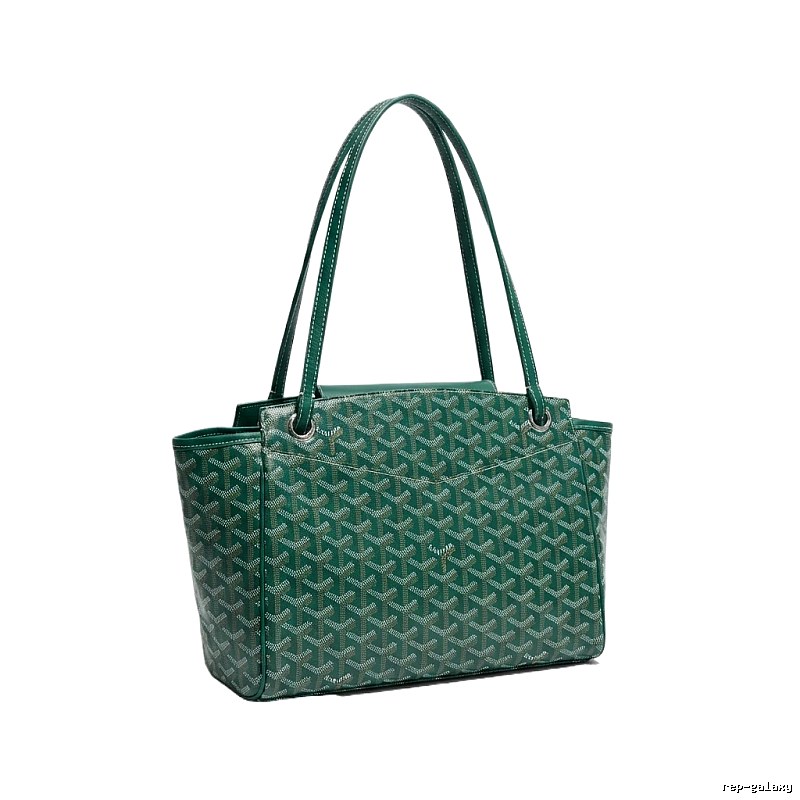 The classic retro green handbag of GOYARD